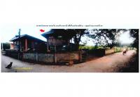 ที่ดินพร้อมสิ่งปลูกสร้างหลุดจำนอง ธ.ธนาคารออมสิน เมืองยาว ห้างฉัตร ลำปาง